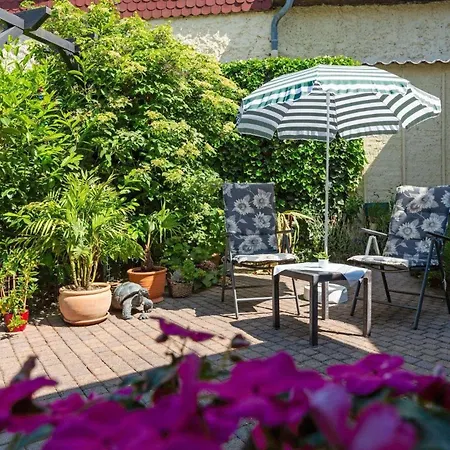 In Sued Apartment Dessau-Rosslau